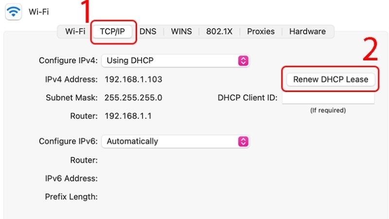 Bấm tab TCP/IP và chọn Renew DHCP Lease