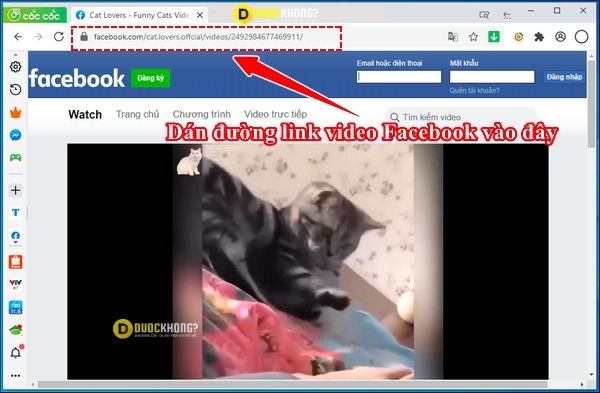 Copy link video Facebook và dán vào trình duyệt Cốc Cốc