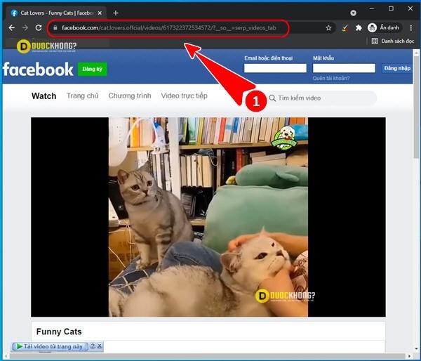 dán link video Facebook vào Chrome và bấm Enter