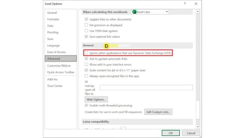 Bỏ tích ô Ignore other applications that use Dynamic Data Exchange (DDE)