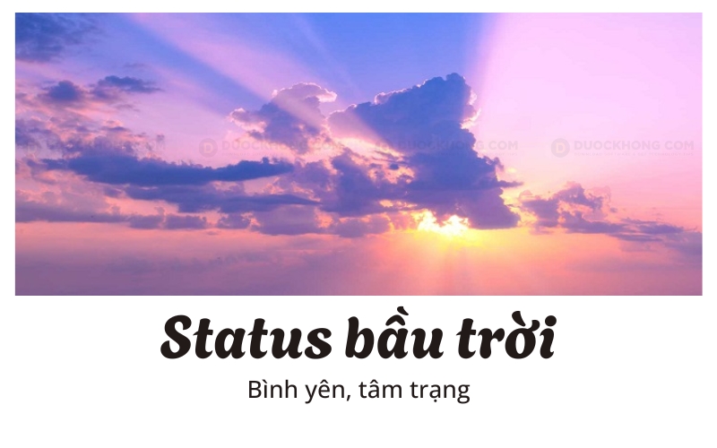stt bau troi