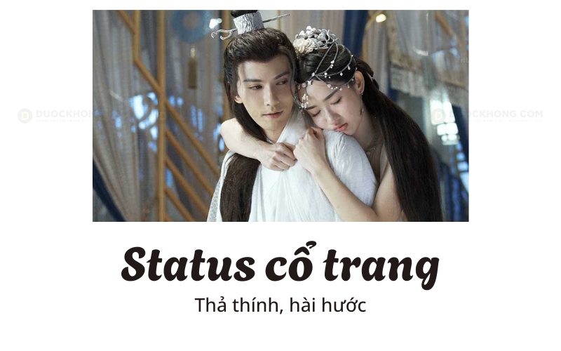 stt co trang