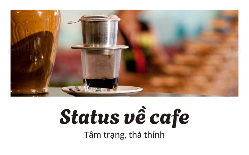 stt ve cafe