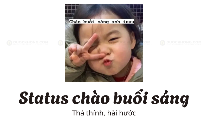 stt chao buoi sang