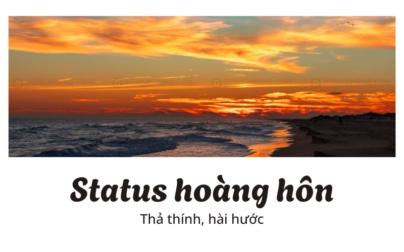 stt hoang hon